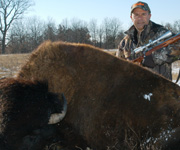 Oklahoma buffalo